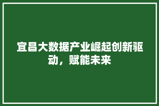 宜昌大数据产业崛起创新驱动，赋能未来  第1张