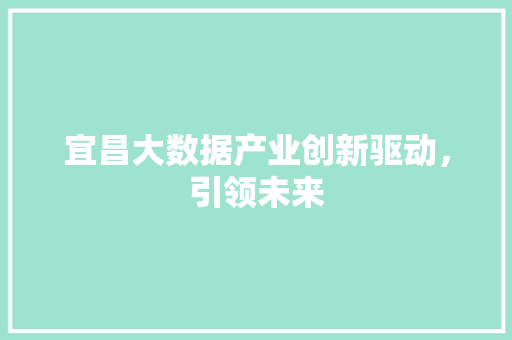 宜昌大数据产业创新驱动，引领未来