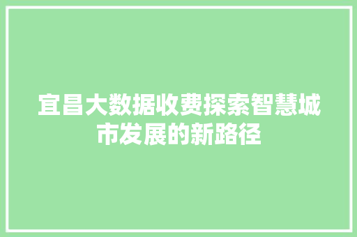 宜昌大数据收费探索智慧城市发展的新路径