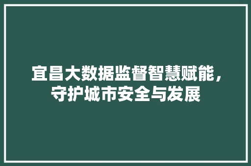 宜昌大数据监督智慧赋能，守护城市安全与发展  第1张