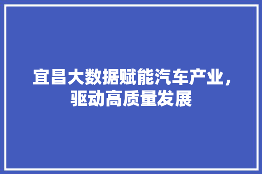 宜昌大数据赋能汽车产业，驱动高质量发展