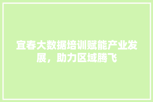 宜春大数据培训赋能产业发展，助力区域腾飞