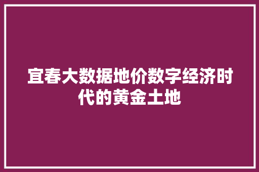 宜春大数据地价数字经济时代的黄金土地  第1张
