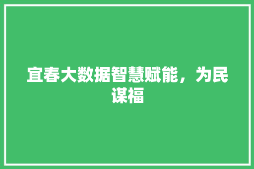 宜春大数据智慧赋能，为民谋福  第1张