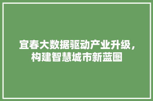 宜春大数据驱动产业升级，构建智慧城市新蓝图  第1张