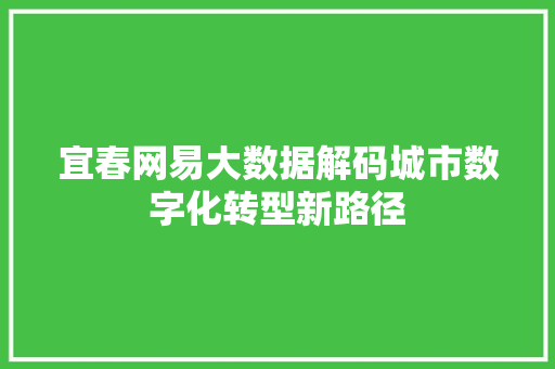 宜春网易大数据解码城市数字化转型新路径