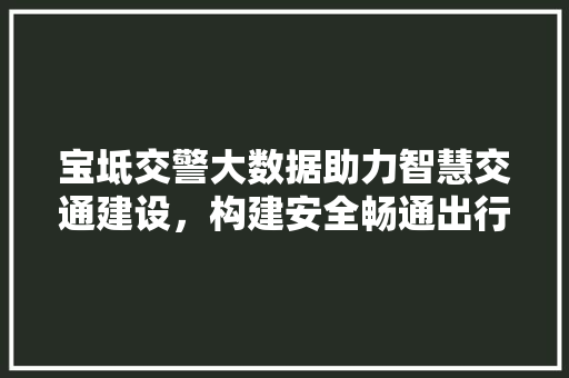 宝坻交警大数据助力智慧交通建设，构建安全畅通出行环境