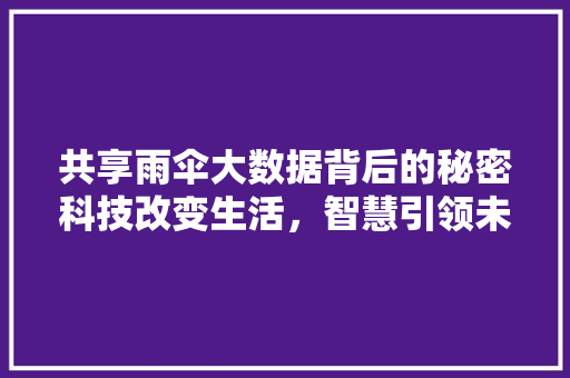 共享雨伞大数据背后的秘密科技改变生活，智慧引领未来