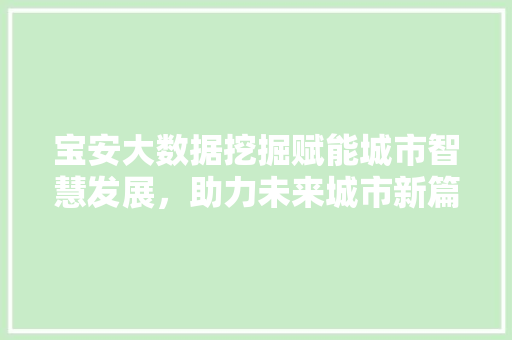 宝安大数据挖掘赋能城市智慧发展，助力未来城市新篇章