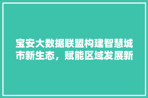 宝安大数据联盟构建智慧城市新生态，赋能区域发展新格局