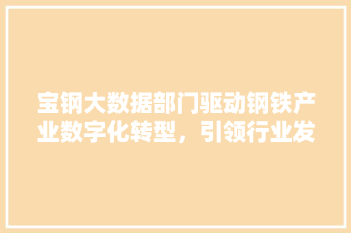 宝钢大数据部门驱动钢铁产业数字化转型，引领行业发展新趋势