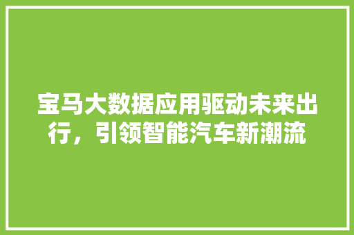 宝马大数据应用驱动未来出行，引领智能汽车新潮流