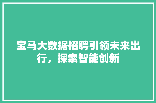 宝马大数据招聘引领未来出行，探索智能创新