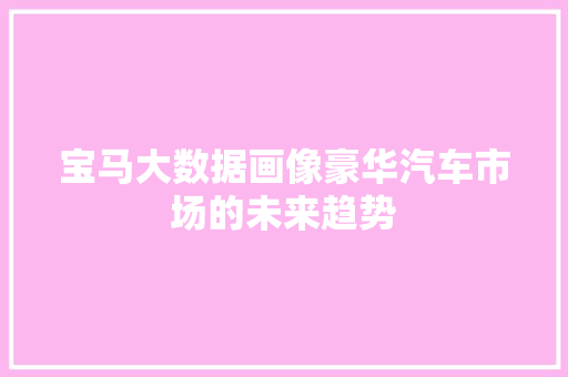 宝马大数据画像豪华汽车市场的未来趋势