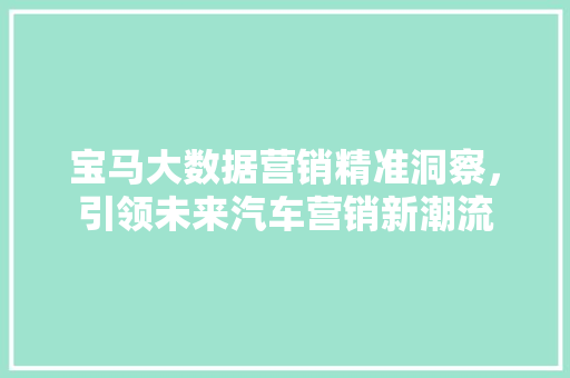 宝马大数据营销精准洞察，引领未来汽车营销新潮流