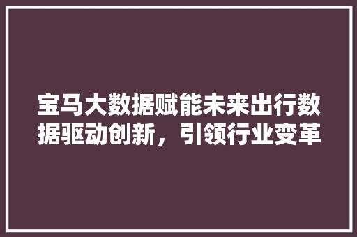 宝马大数据赋能未来出行数据驱动创新，引领行业变革