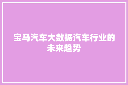 宝马汽车大数据汽车行业的未来趋势