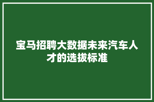 宝马招聘大数据未来汽车人才的选拔标准