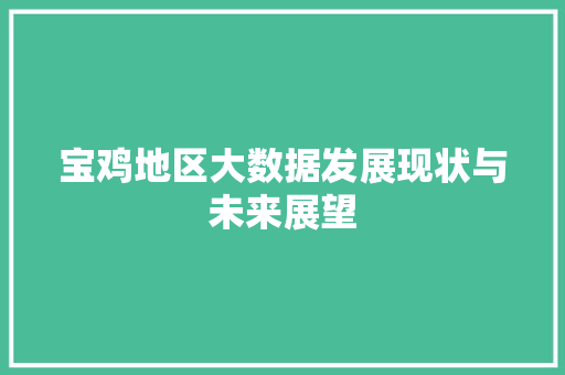 宝鸡地区大数据发展现状与未来展望