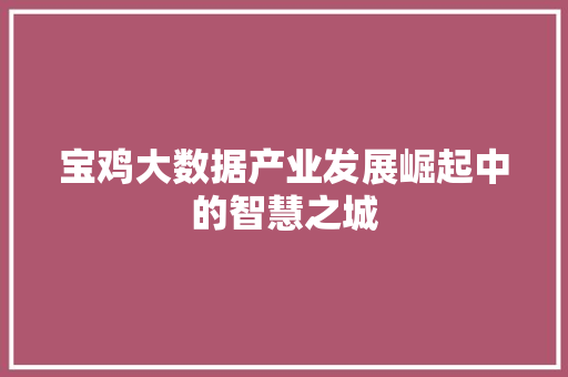 宝鸡大数据产业发展崛起中的智慧之城