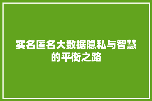 实名匿名大数据隐私与智慧的平衡之路
