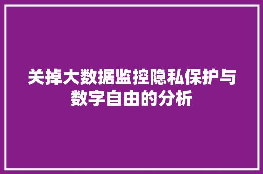 关掉大数据监控隐私保护与数字自由的分析
