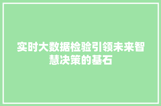 实时大数据检验引领未来智慧决策的基石  第1张