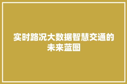 实时路况大数据智慧交通的未来蓝图
