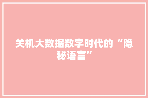 关机大数据数字时代的“隐秘语言”