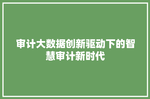 审计大数据创新驱动下的智慧审计新时代  第1张
