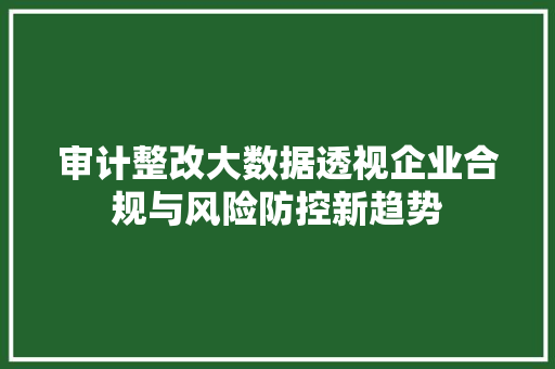 审计整改大数据透视企业合规与风险防控新趋势