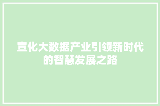 宣化大数据产业引领新时代的智慧发展之路