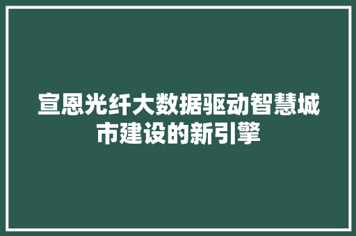 宣恩光纤大数据驱动智慧城市建设的新引擎