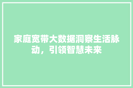家庭宽带大数据洞察生活脉动，引领智慧未来
