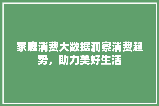 家庭消费大数据洞察消费趋势，助力美好生活  第1张