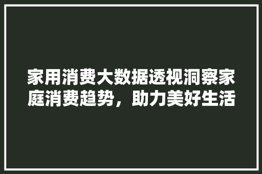 家用消费大数据透视洞察家庭消费趋势，助力美好生活