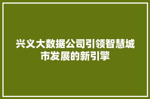 兴义大数据公司引领智慧城市发展的新引擎