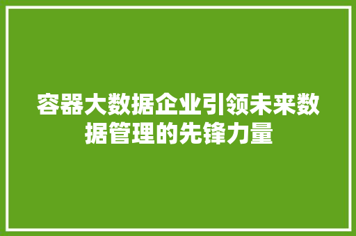 容器大数据企业引领未来数据管理的先锋力量