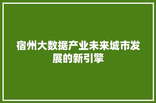 宿州大数据产业未来城市发展的新引擎