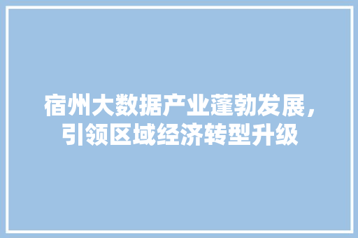 宿州大数据产业蓬勃发展，引领区域经济转型升级