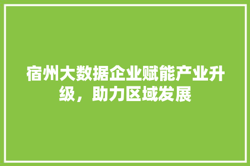 宿州大数据企业赋能产业升级，助力区域发展  第1张