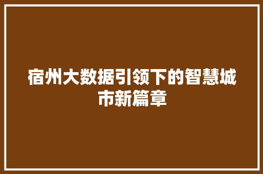 宿州大数据引领下的智慧城市新篇章