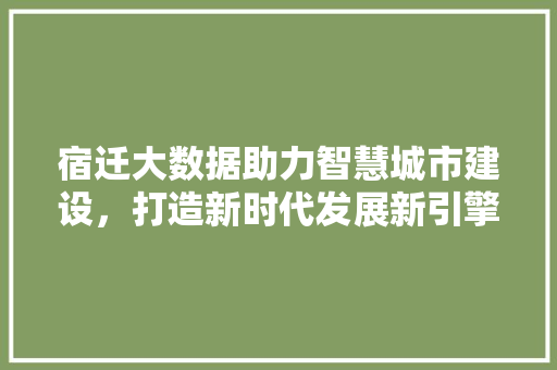 宿迁大数据助力智慧城市建设，打造新时代发展新引擎