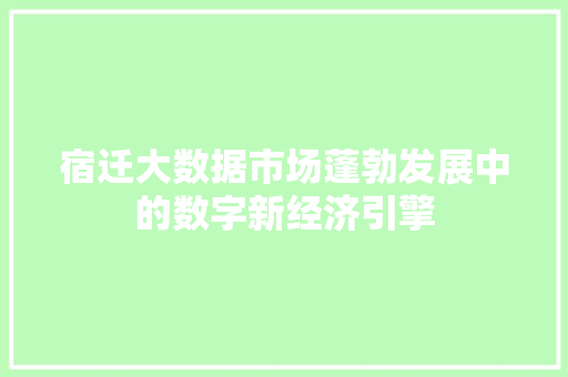 宿迁大数据市场蓬勃发展中的数字新经济引擎
