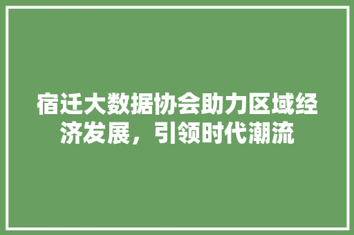 宿迁大数据协会助力区域经济发展，引领时代潮流