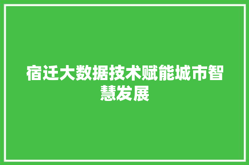 宿迁大数据技术赋能城市智慧发展