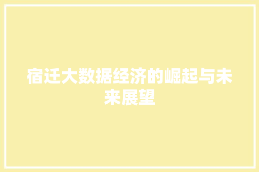 宿迁大数据经济的崛起与未来展望