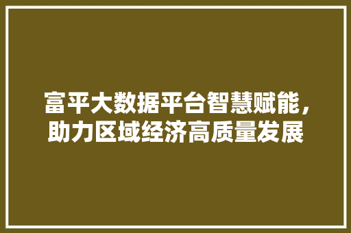 富平大数据平台智慧赋能，助力区域经济高质量发展