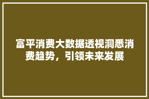 富平消费大数据透视洞悉消费趋势，引领未来发展