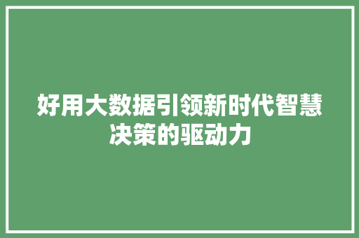 好用大数据引领新时代智慧决策的驱动力